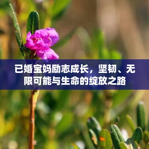 已婚寶媽勵志成長，堅韌、無限可能與生命的綻放之路