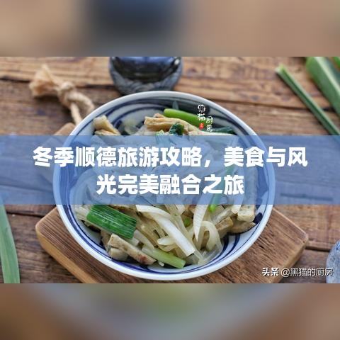冬季順德旅游攻略，美食與風光完美融合之旅