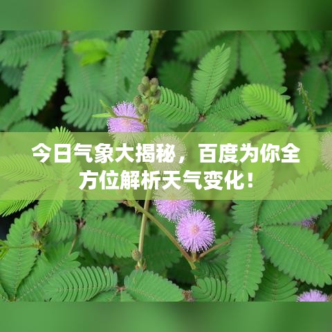 碧瓦飛甍 第2頁