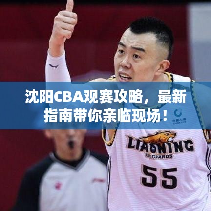 沈陽CBA觀賽攻略，最新指南帶你親臨現(xiàn)場！