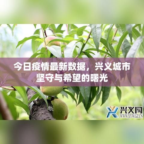 今日疫情最新數(shù)據(jù)，興義城市堅(jiān)守與希望的曙光