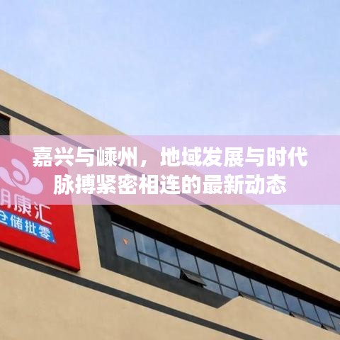 嘉興與嵊州，地域發(fā)展與時代脈搏緊密相連的最新動態(tài)
