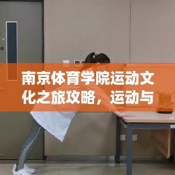南京體育學(xué)院運動文化之旅攻略，運動與文化的完美交融體驗