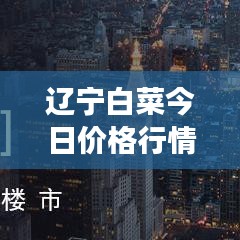 遼寧白菜今日價格行情揭秘，市場波動背后的原因探析