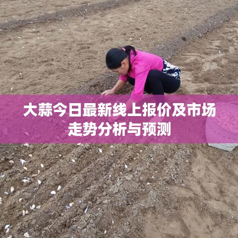 大蒜今日最新線上報(bào)價(jià)及市場走勢分析與預(yù)測