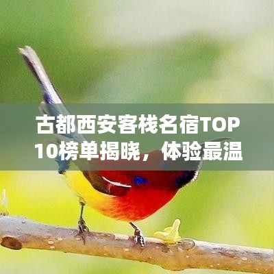 坎井之蛙 第2頁