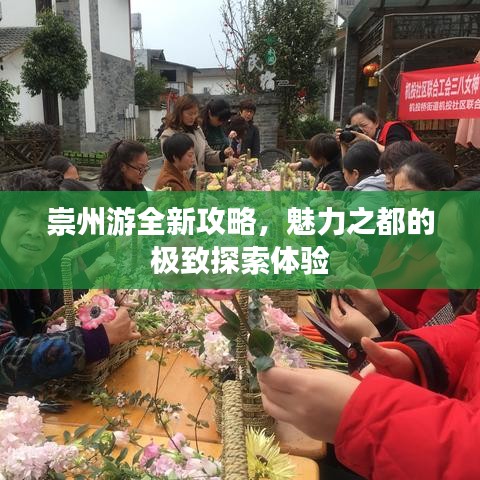 崇州游全新攻略，魅力之都的極致探索體驗(yàn)