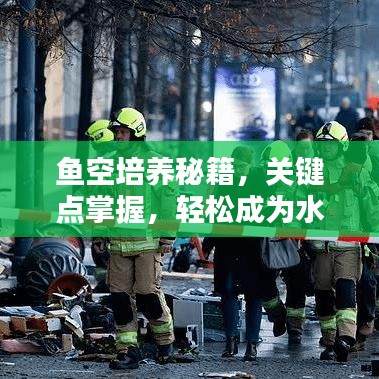 魚空培養(yǎng)秘籍，關(guān)鍵點掌握，輕松成為水族箱大師！