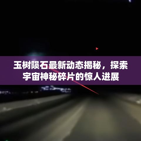 玉樹隕石最新動(dòng)態(tài)揭秘，探索宇宙神秘碎片的驚人進(jìn)展