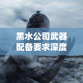 黑水公司武器配備要求深度解析