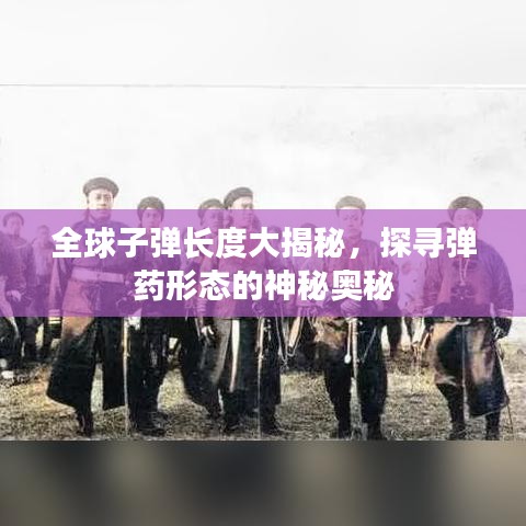 全球子彈長度大揭秘，探尋彈藥形態(tài)的神秘奧秘
