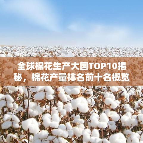 全球棉花生產(chǎn)大國(guó)TOP10揭秘，棉花產(chǎn)量排名前十名概覽