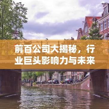 前百公司大揭秘，行業(yè)巨頭影響力與未來(lái)趨勢(shì)展望