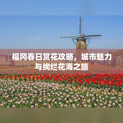 福岡春日賞花攻略，城市魅力與絢爛花海之旅