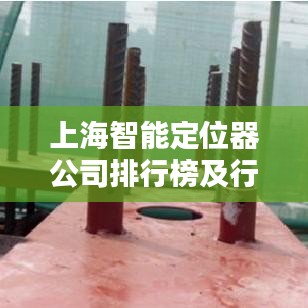 上海智能定位器公司排行榜及行業(yè)影響力解析