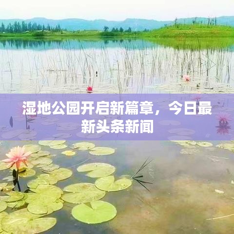 濕地公園開啟新篇章，今日最新頭條新聞