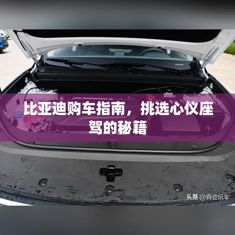 比亞迪購車指南，挑選心儀座駕的秘籍