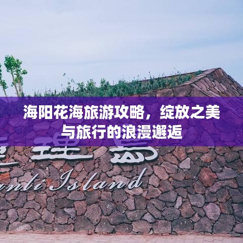 海陽花海旅游攻略，綻放之美與旅行的浪漫邂逅