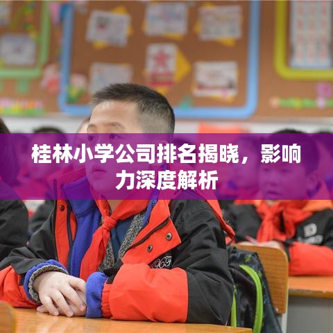 桂林小學(xué)公司排名揭曉，影響力深度解析