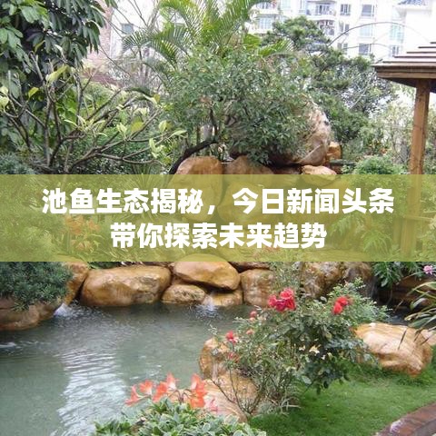 池魚生態(tài)揭秘，今日新聞?lì)^條帶你探索未來趨勢(shì)