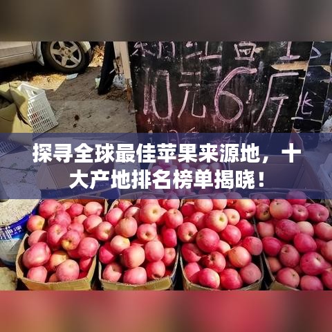 探尋全球最佳蘋果來源地，十大產(chǎn)地排名榜單揭曉！