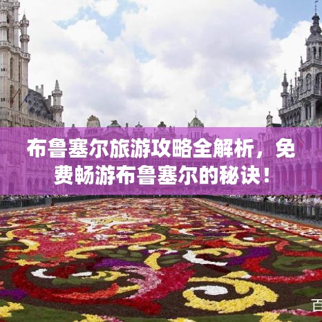 布魯塞爾旅游攻略全解析，免費(fèi)暢游布魯塞爾的秘訣！