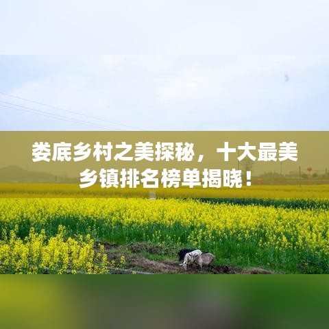 婁底鄉(xiāng)村之美探秘，十大最美鄉(xiāng)鎮(zhèn)排名榜單揭曉！