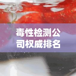 毒性檢測(cè)公司權(quán)威排名榜，揭秘行業(yè)內(nèi)頂尖檢測(cè)力量