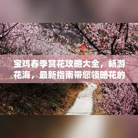 寶雞春季賞花攻略大全，暢游花海，最新指南帶您領略花的世界