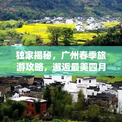 獨(dú)家揭秘，廣州春季旅游攻略，邂逅最美四月天