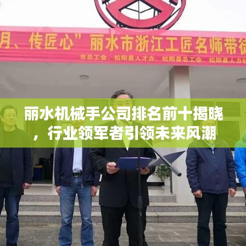 麗水機(jī)械手公司排名前十揭曉，行業(yè)領(lǐng)軍者引領(lǐng)未來風(fēng)潮