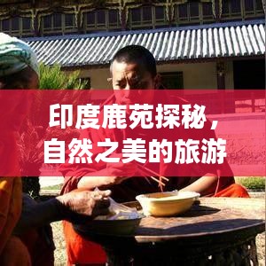 印度鹿苑探秘，自然之美的旅游攻略