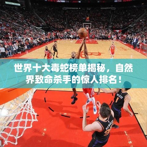 世界十大毒蛇榜單揭秘，自然界致命殺手的驚人排名！