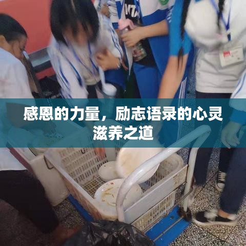 感恩的力量，勵(lì)志語錄的心靈滋養(yǎng)之道