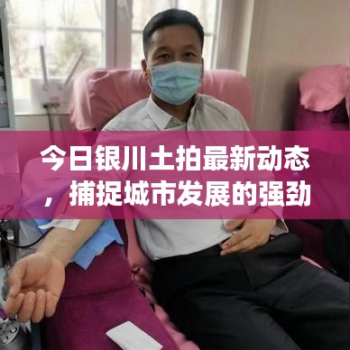 今日銀川土拍最新動(dòng)態(tài)，捕捉城市發(fā)展的強(qiáng)勁脈搏