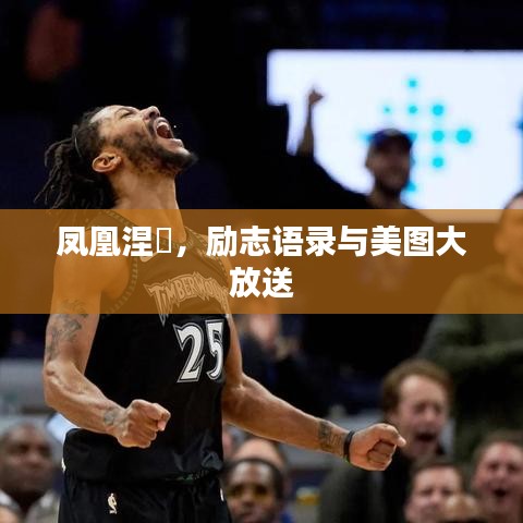 鳳凰涅槃，勵志語錄與美圖大放送