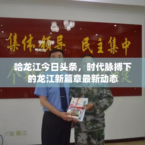 哈龍江今日頭條，時代脈搏下的龍江新篇章最新動態(tài)