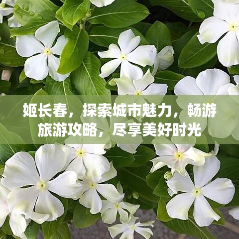 姬長(zhǎng)春，探索城市魅力，暢游旅游攻略，盡享美好時(shí)光