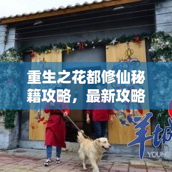 重生之花都修仙秘籍攻略，最新攻略大揭秘！
