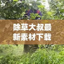 除草大叔最新素材下載與安裝指南，全面教程與實用建議一網(wǎng)打盡！