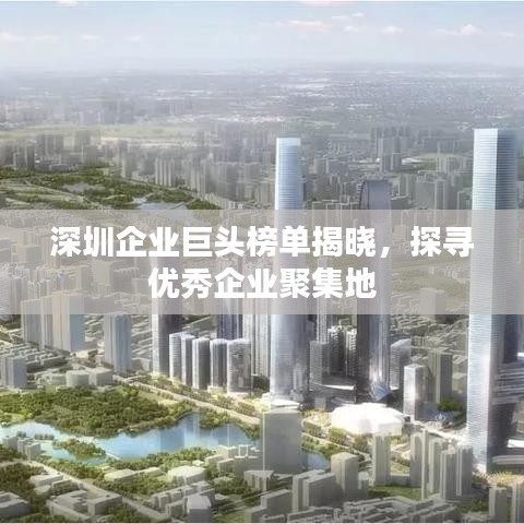 深圳企業(yè)巨頭榜單揭曉，探尋優(yōu)秀企業(yè)聚集地