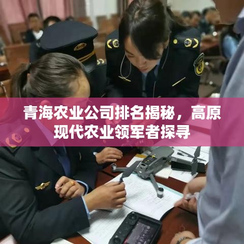 青海農(nóng)業(yè)公司排名揭秘，高原現(xiàn)代農(nóng)業(yè)領(lǐng)軍者探尋