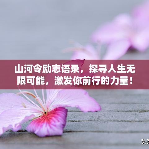 山河令勵志語錄，探尋人生無限可能，激發(fā)你前行的力量！
