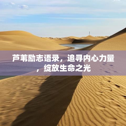 蘆葦勵志語錄，追尋內(nèi)心力量，綻放生命之光
