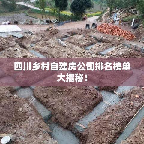 四川鄉(xiāng)村自建房公司排名榜單大揭秘！