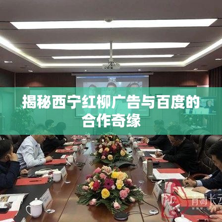 揭秘西寧紅柳廣告與百度的合作奇緣