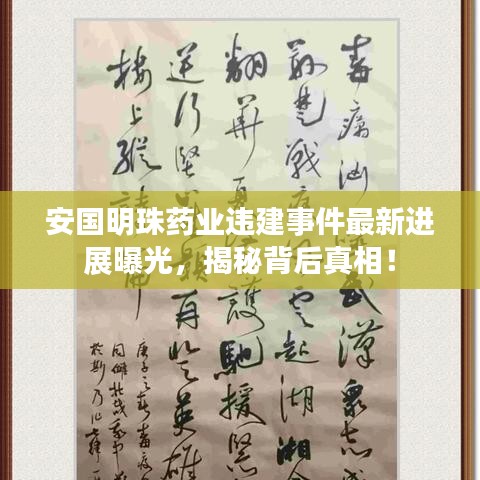 安國明珠藥業(yè)違建事件最新進(jìn)展曝光，揭秘背后真相！