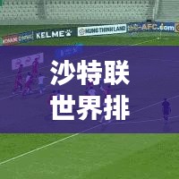 沙特聯(lián)世界排名飆升，探尋中東足球強(qiáng)國(guó)的新征程