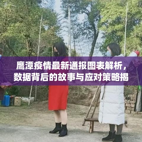 鷹潭疫情最新通報圖表解析，數(shù)據(jù)背后的故事與應(yīng)對策略揭秘