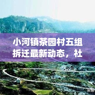 小河鎮(zhèn)茶園村五組拆遷最新動(dòng)態(tài)，社區(qū)變遷與未來展望